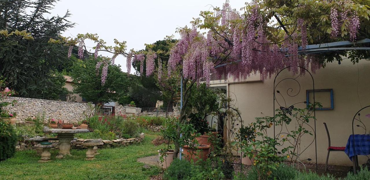 Pause Couleur Lavandula Roussas Ngoại thất bức ảnh
