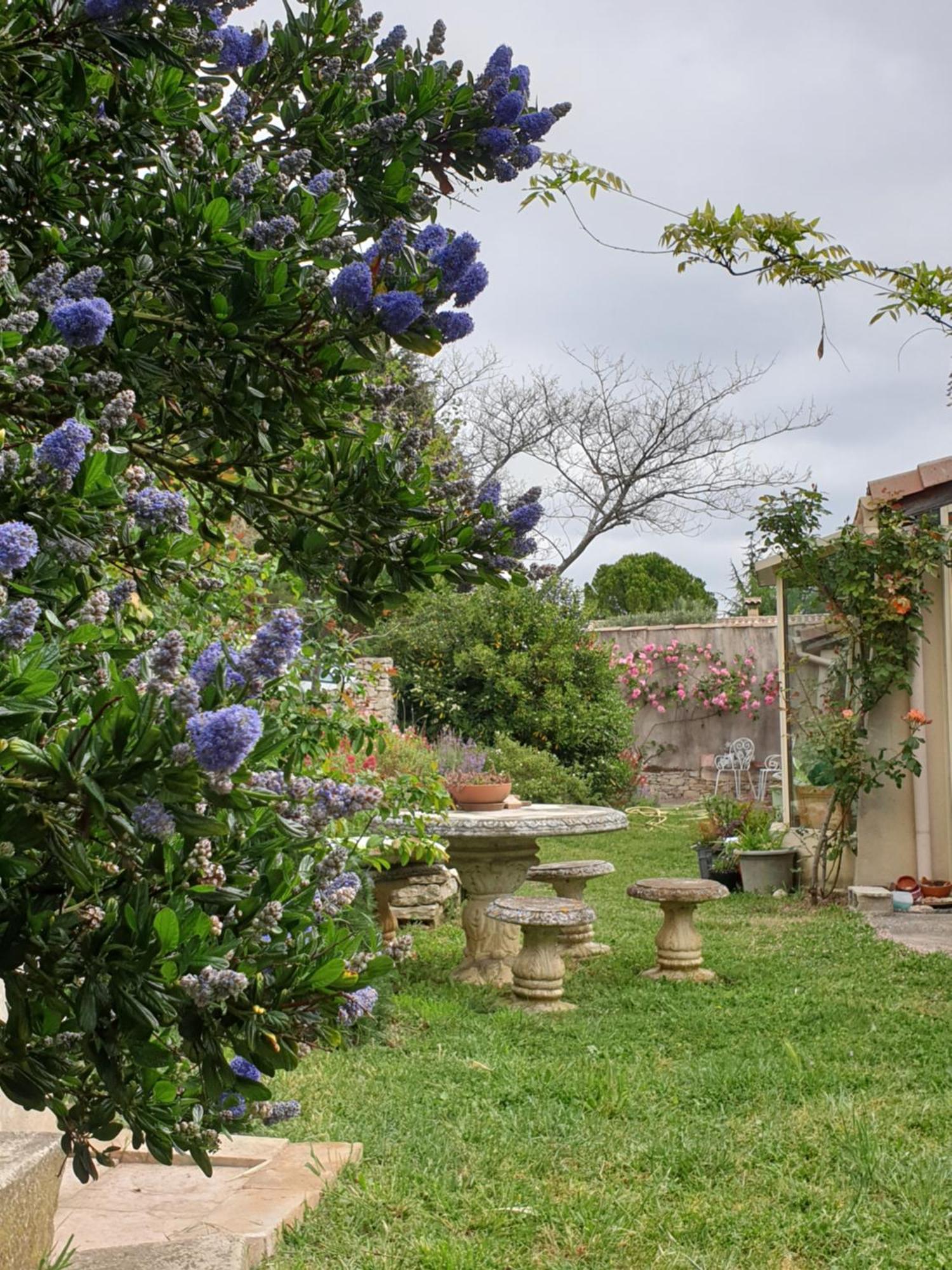 Pause Couleur Lavandula Roussas Ngoại thất bức ảnh
